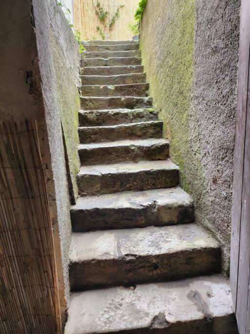 La Maisonnette Des Hautes Granges Blois Extérieur photo